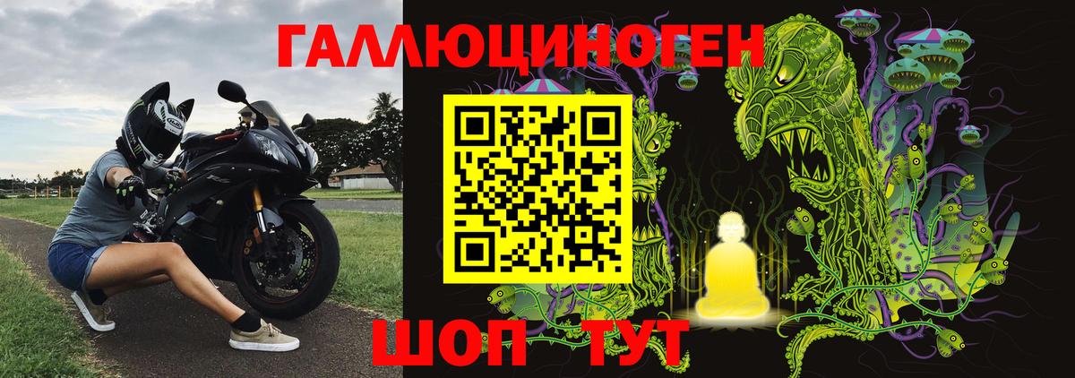 Курчатов  дарнет шоп  Вход с VPN  Псилоцибиновые грибы ЛСД 